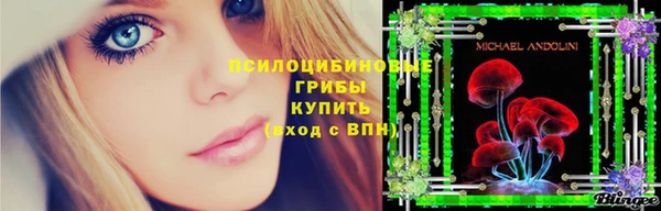 ГАЛЛЮЦИНОГЕННЫЕ ГРИБЫ Пересвет