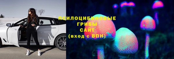 ГАЛЛЮЦИНОГЕННЫЕ ГРИБЫ Пересвет